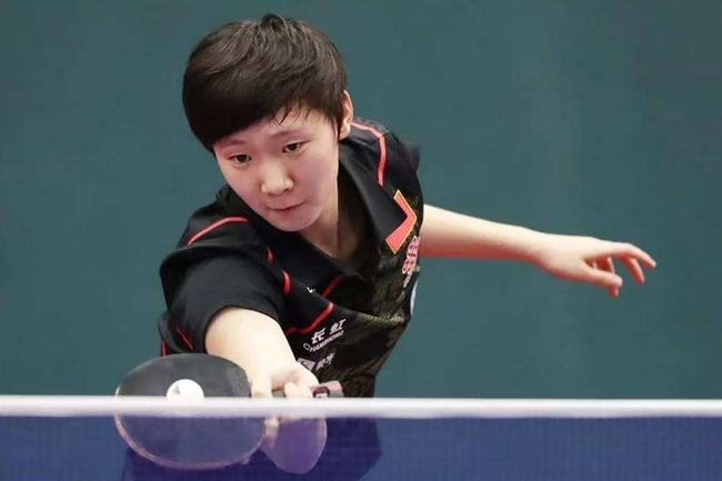 队合作的象 队合作的象